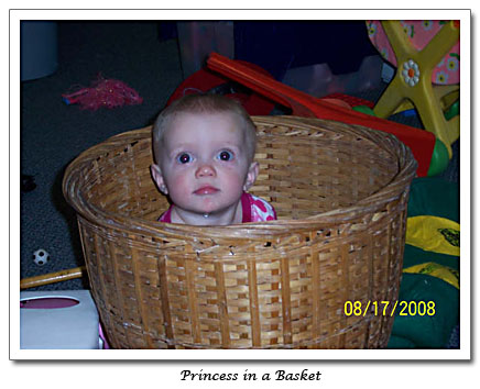 Princess in a Basket